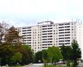 Photo of rental Apartment for Rent
