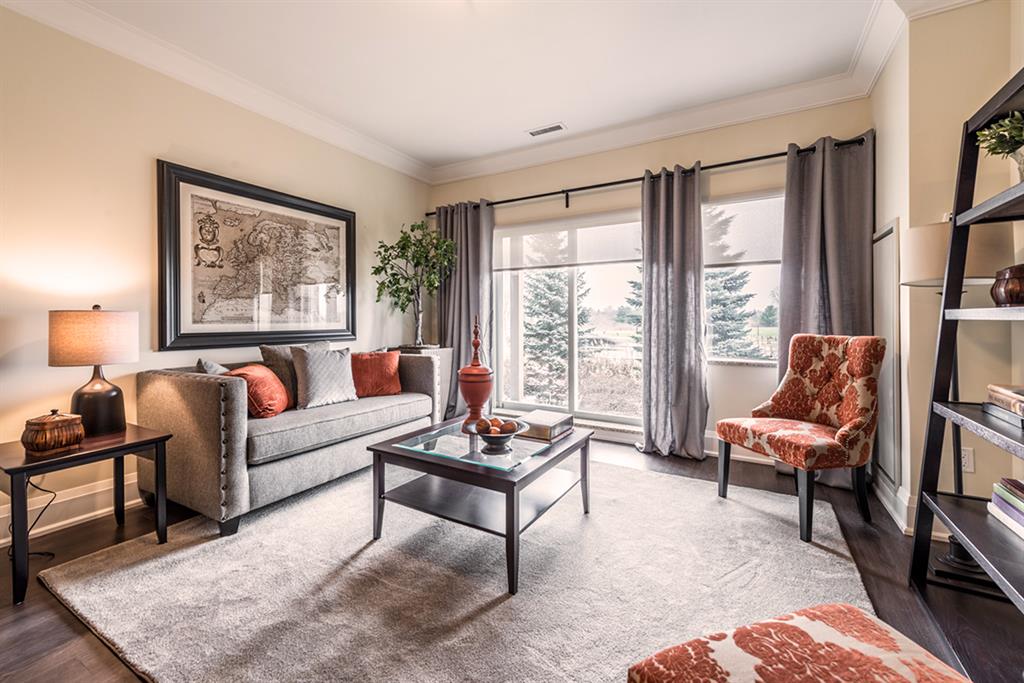 555 Park Rd. N., Brantford Apartment for Rent