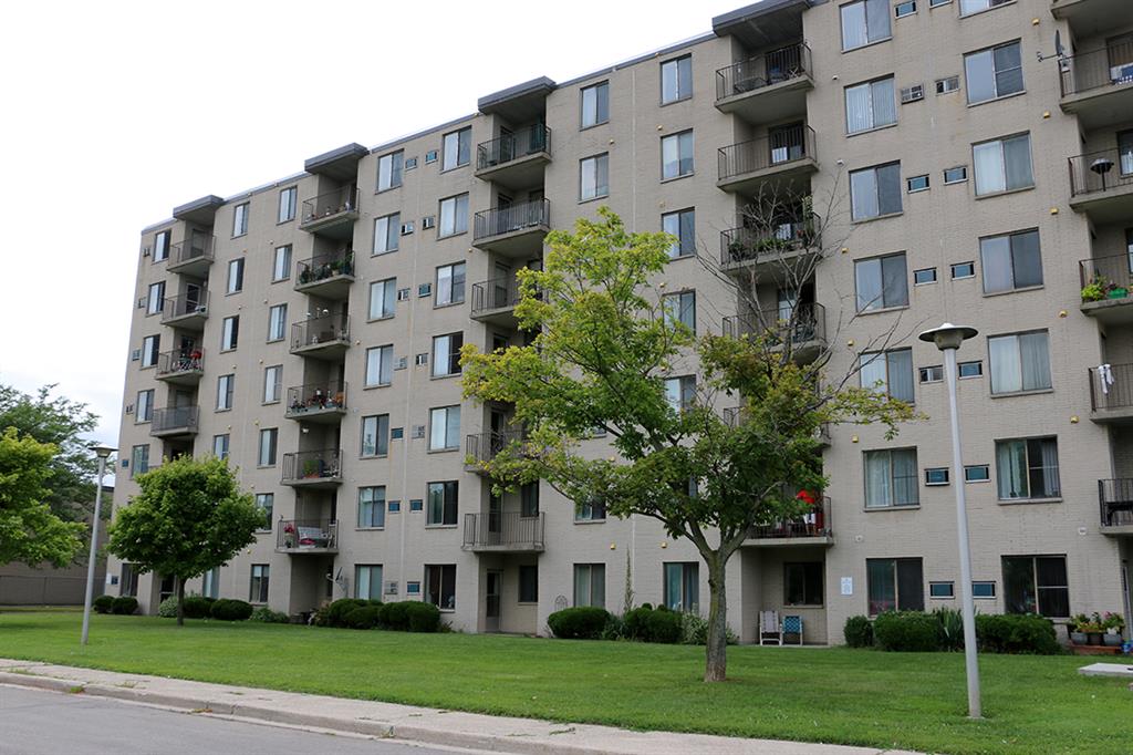 100 McFarlane Ave, Chatham Apartment for Rent