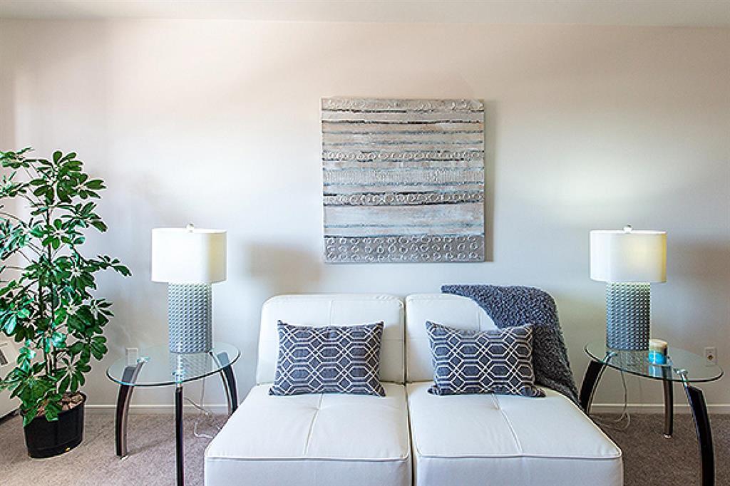 Minimalist Bachelor Apartments For Rent Kingston for Small Space
