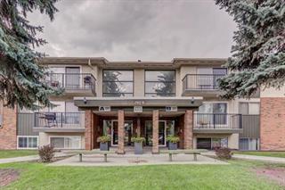 Photo of rental Apartment for Rent
