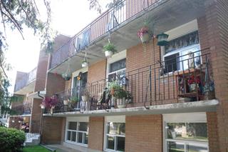 Photo of rental Apartment for Rent