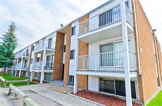 Photo of rental Apartment for Rent