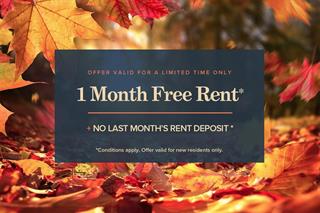 Photo of rental Apartment for Rent
