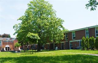 Photo of rental Apartment for Rent