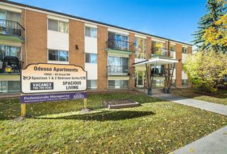 Photo of rental Apartment for Rent