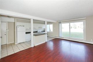 Photo of rental Apartment for Rent