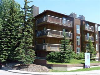 Photo of rental Apartment for Rent