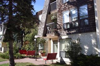Photo of rental Apartment for Rent