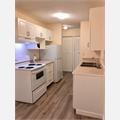 Rental Photo