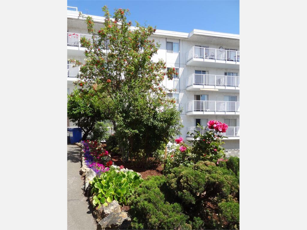 1180 Esquimalt Rd