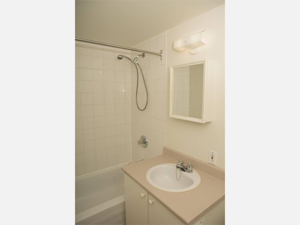 3755 Saint-Dominique,