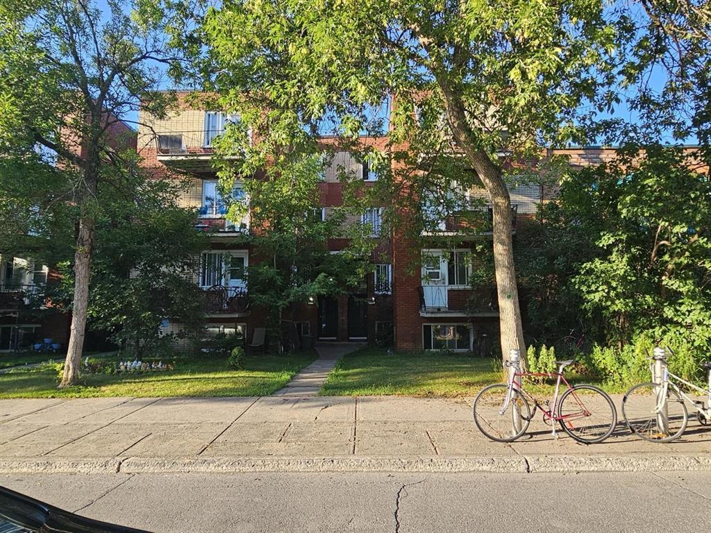 6305 de la Roche