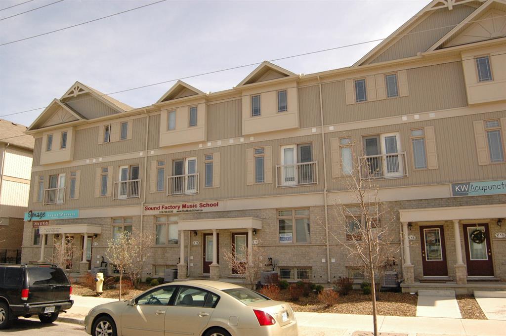 619 Wild Ginger