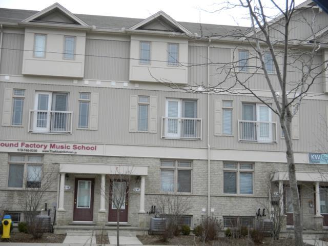 619 Wild Ginger,