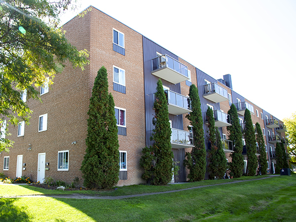 38 Dawson Rd.