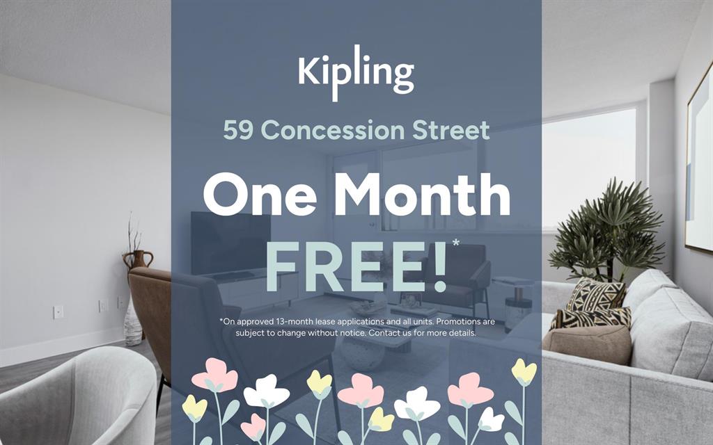 59 Concession Street