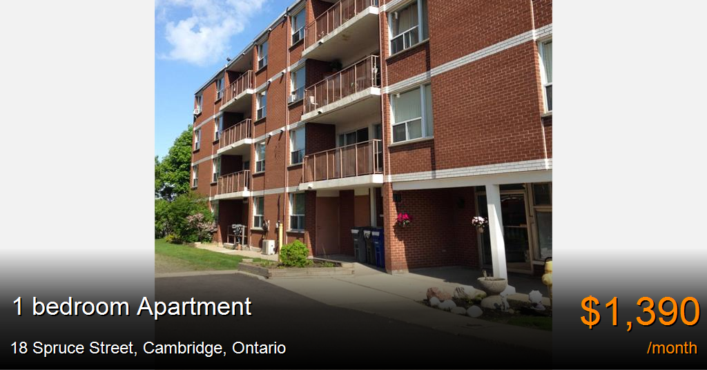 18 spruce street, cambridge Apartment for Rent