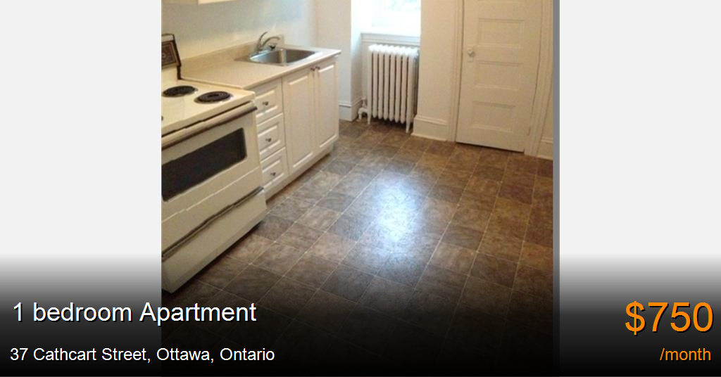 37 cathcart street, ottawa Apartment for Rent