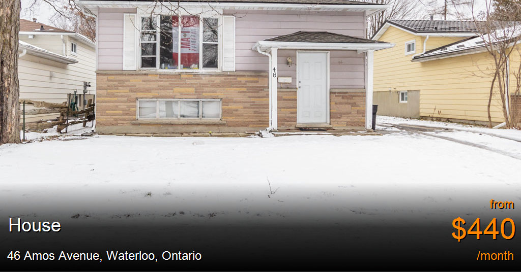 46 amos avenue, waterloo House for Rent