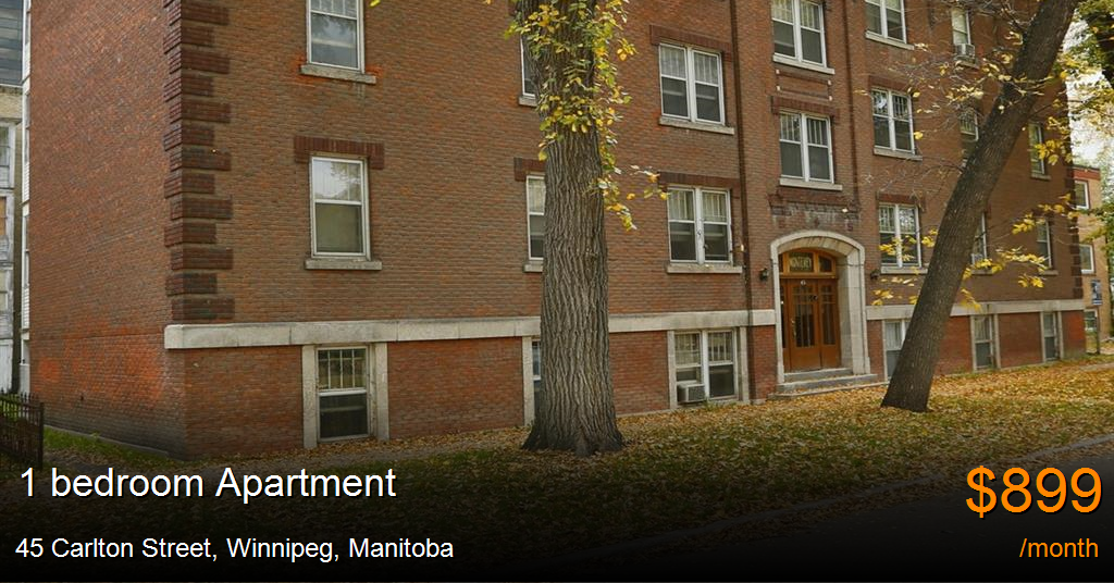 45 carlton street, winnipeg Apartment for Rent