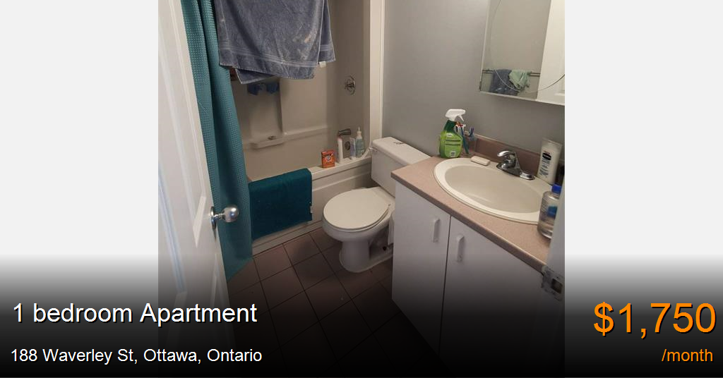 188 waverley st, ottawa Apartment for Rent