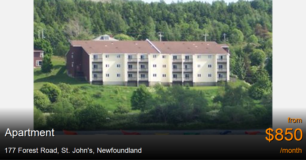 177 Forest Road, St. John's Apartment for Rent B19463