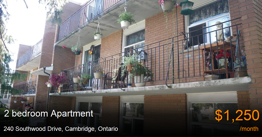 240 southwood drive, cambridge Apartment for Rent