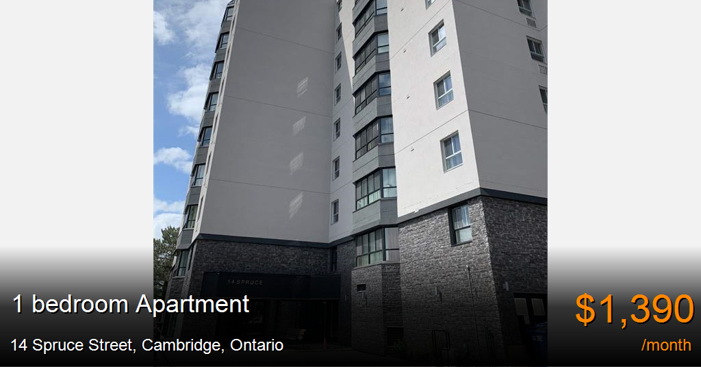 14 spruce street, cambridge Apartment for Rent