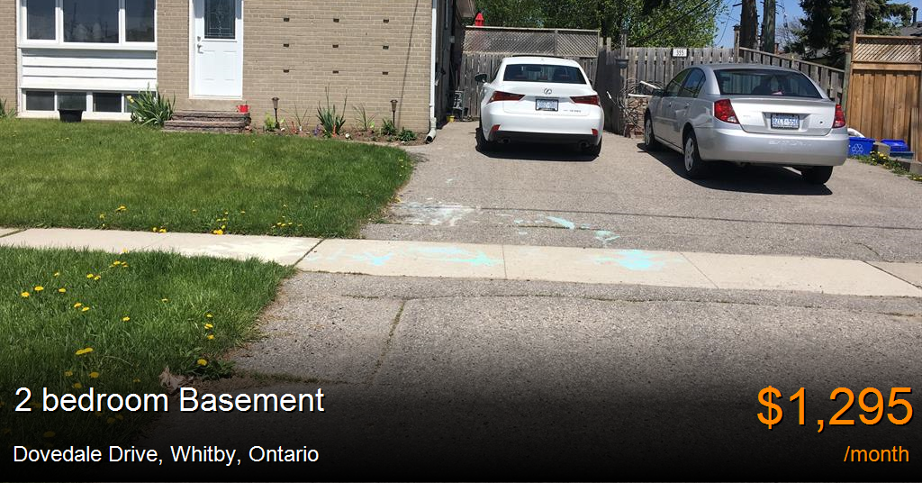 dovedale drive, whitby Basement for Rent