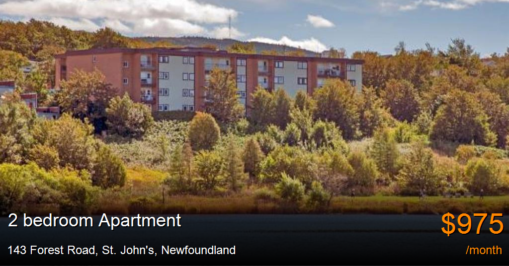 143 Forest Road, St. John's Apartment for Rent