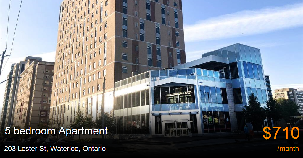 203 lester st, waterloo Apartment for Rent