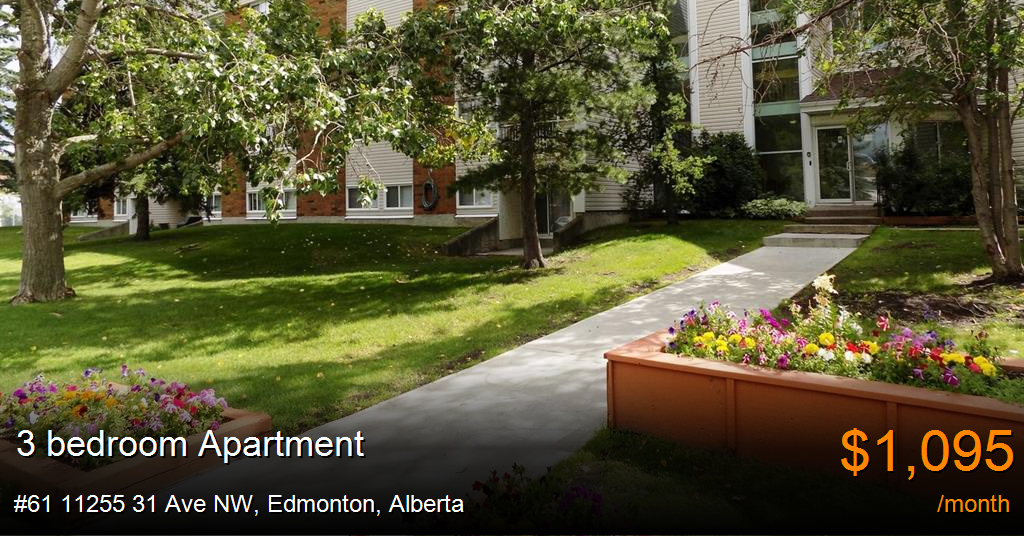 61 11255 31 Ave NW, Edmonton Apartment for Rent