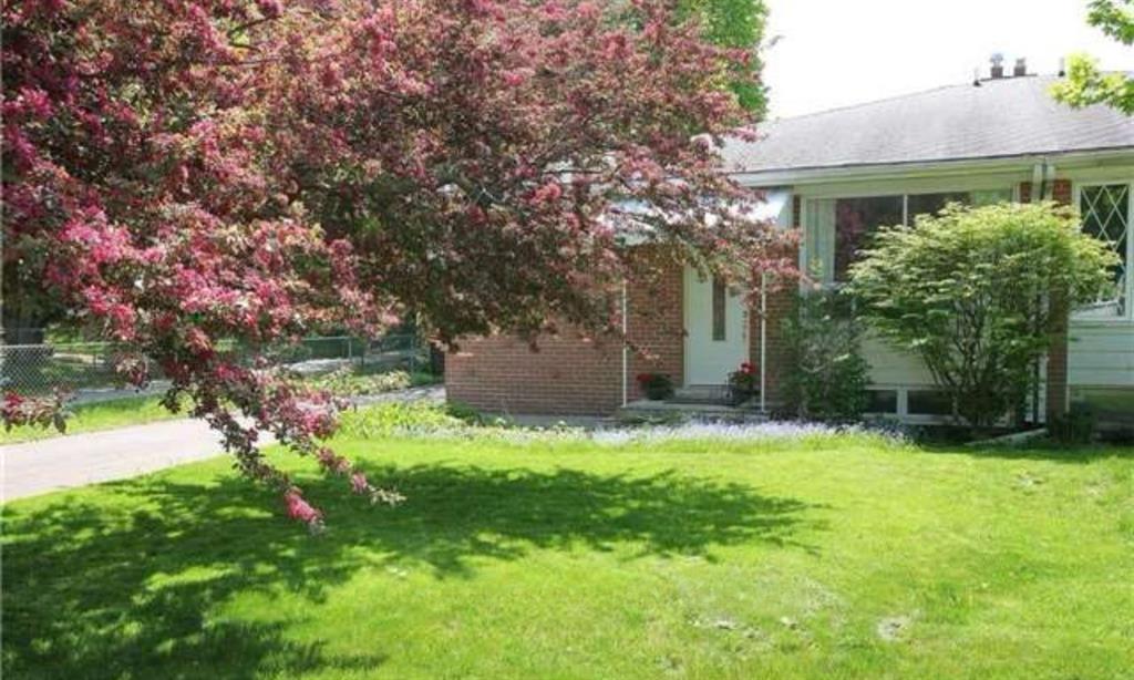 57 Davis Rd