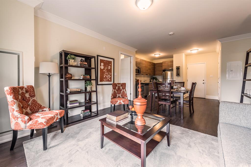 Minimalist Bachelor Apartment Brantford 