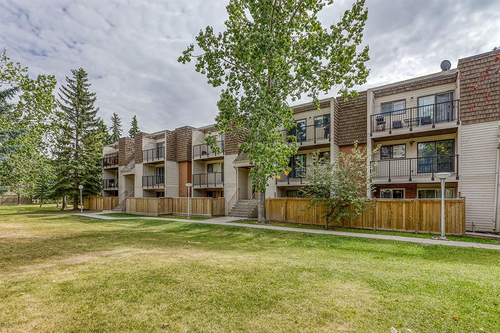 5300 Rundlehorn Drive NE, Calgary Apartment for Rent