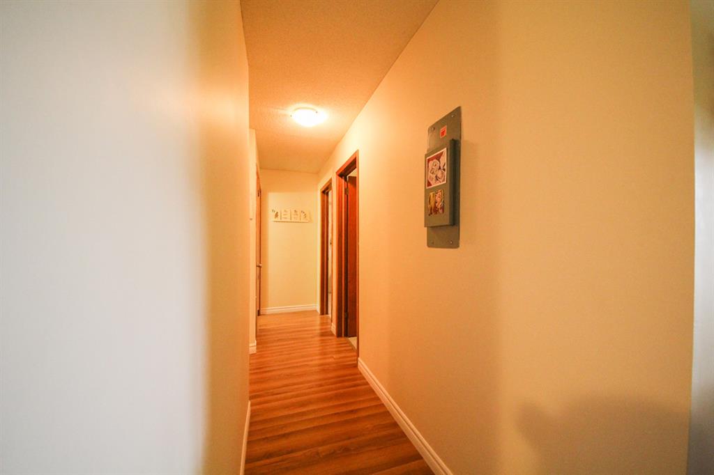 Minimalist Bachelor Apartment Fredericton with Luxury Interior Design
