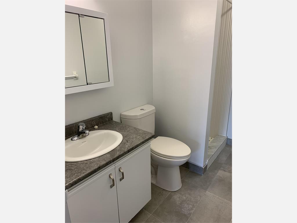 305 Margaret Avenue, Kitchener Apartment for Rent