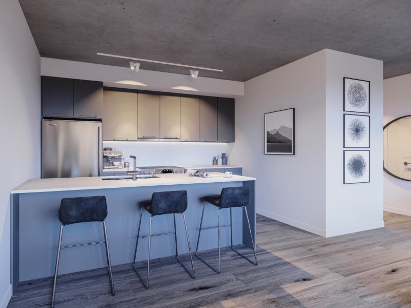 1255 rue saintdominique, montr al Apartment for Rent