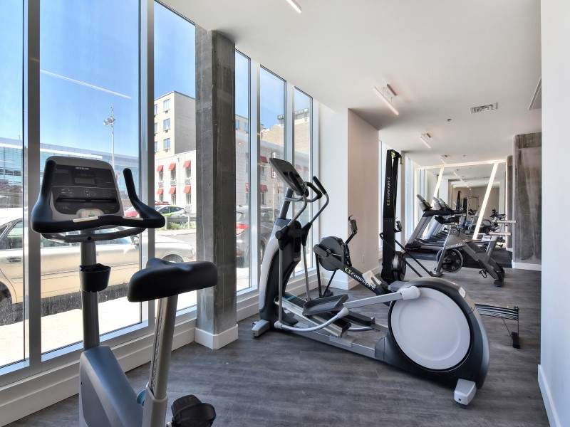 1569 rue sainthubert, montr al Apartment for Rent