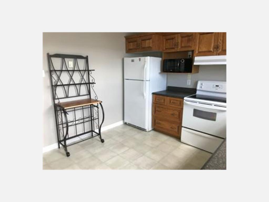 1 Wyatt Blvd, Mount Pearl Apartment for Rent