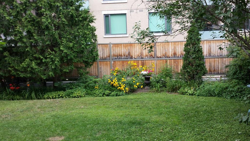 5 - 121 Daly Avenue