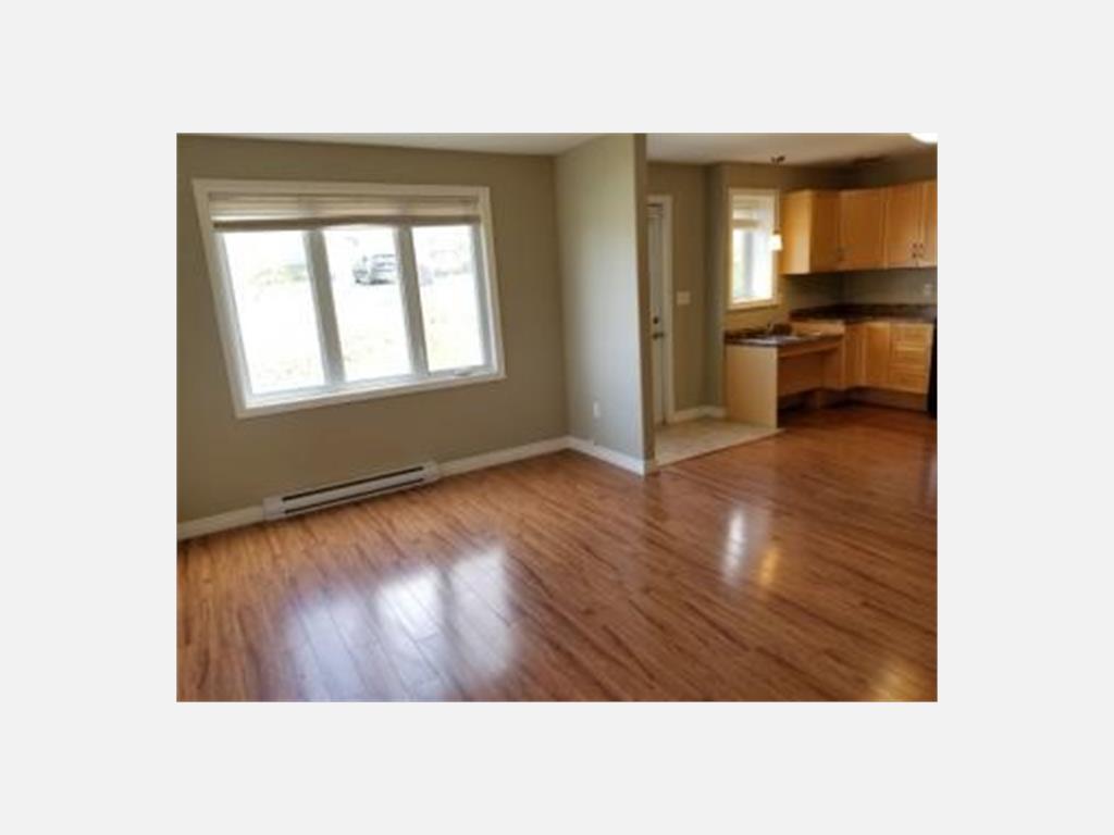 23A Sedgewick St, Paradise Apartment for Rent