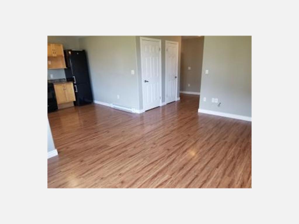 23A Sedgewick St, Paradise Apartment for Rent