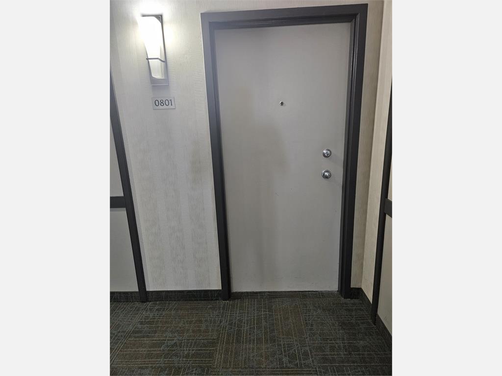 1867 Hamilton Street - 801