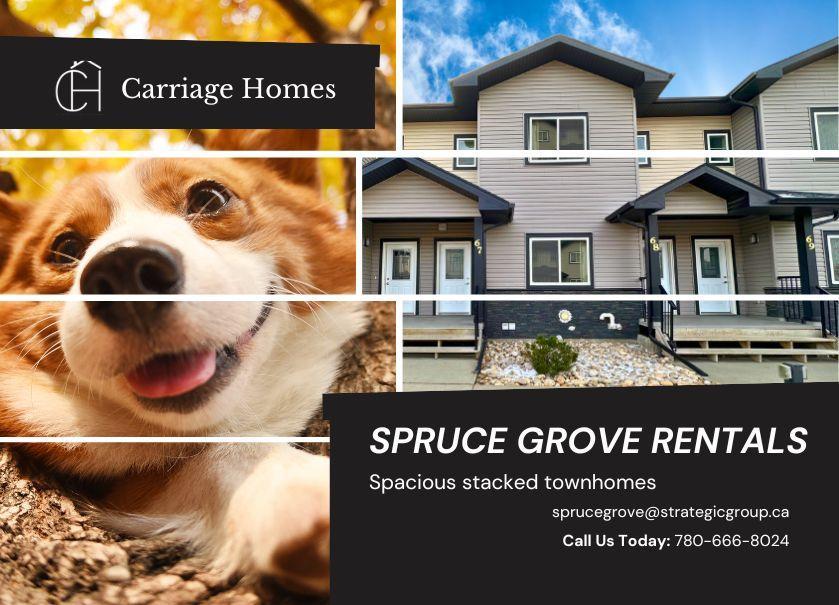 220 Spruce Ridge Road