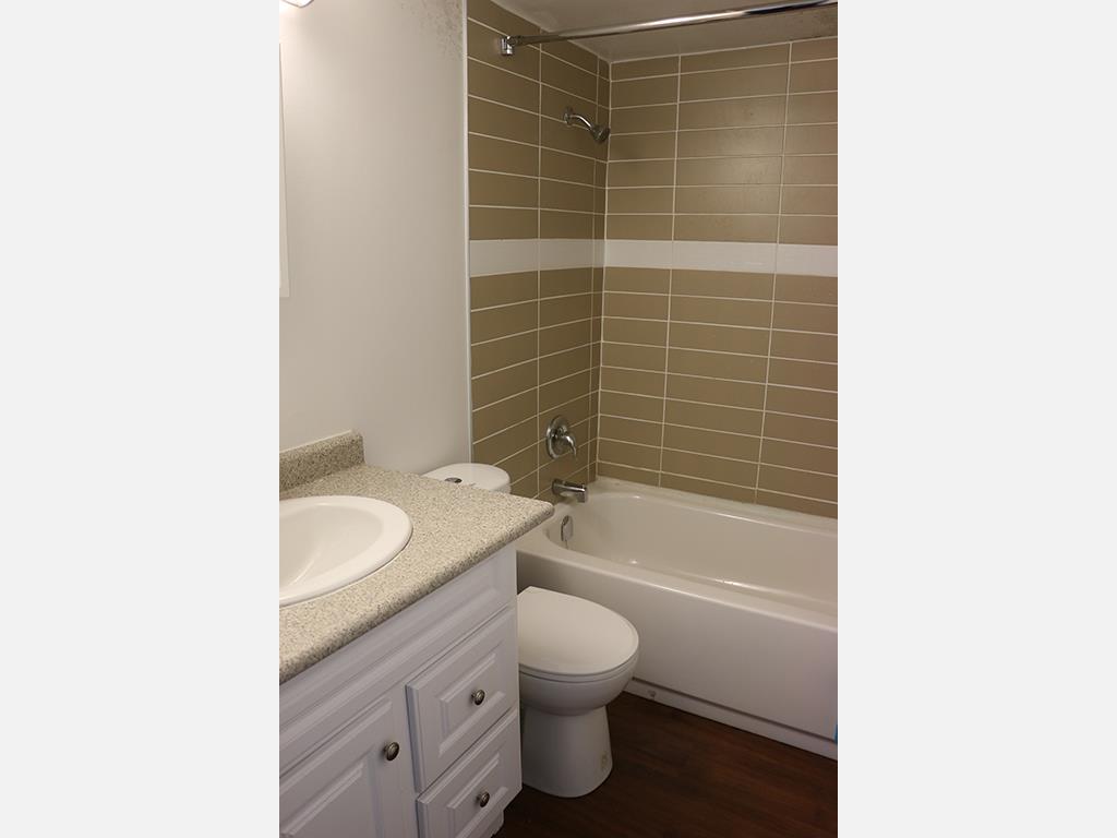 273 Vine Street, St. Catharines Apartment for Rent