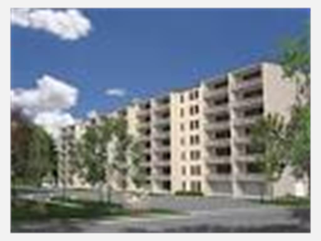 380 and 382 Vine Street, St. Catharines Apartment for Rent