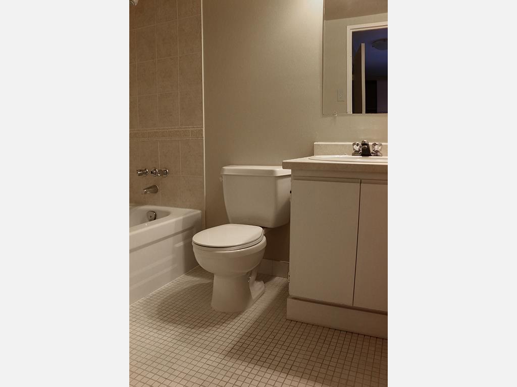 385 Vine Street, St. Catharines Apartment for Rent