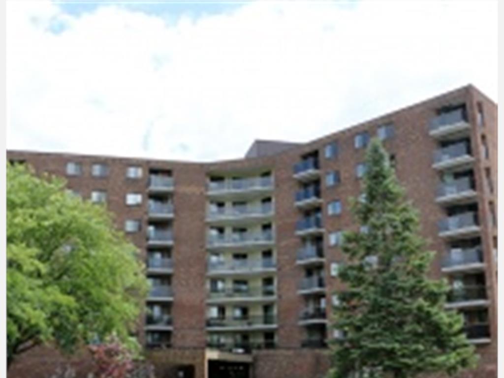 64 Roehampton ave, St. Catharines Apartment for Rent